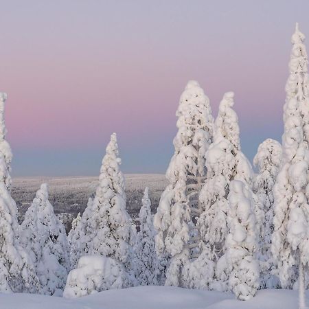 Northern Bliss Hideaway Rovaniemi Exterior foto