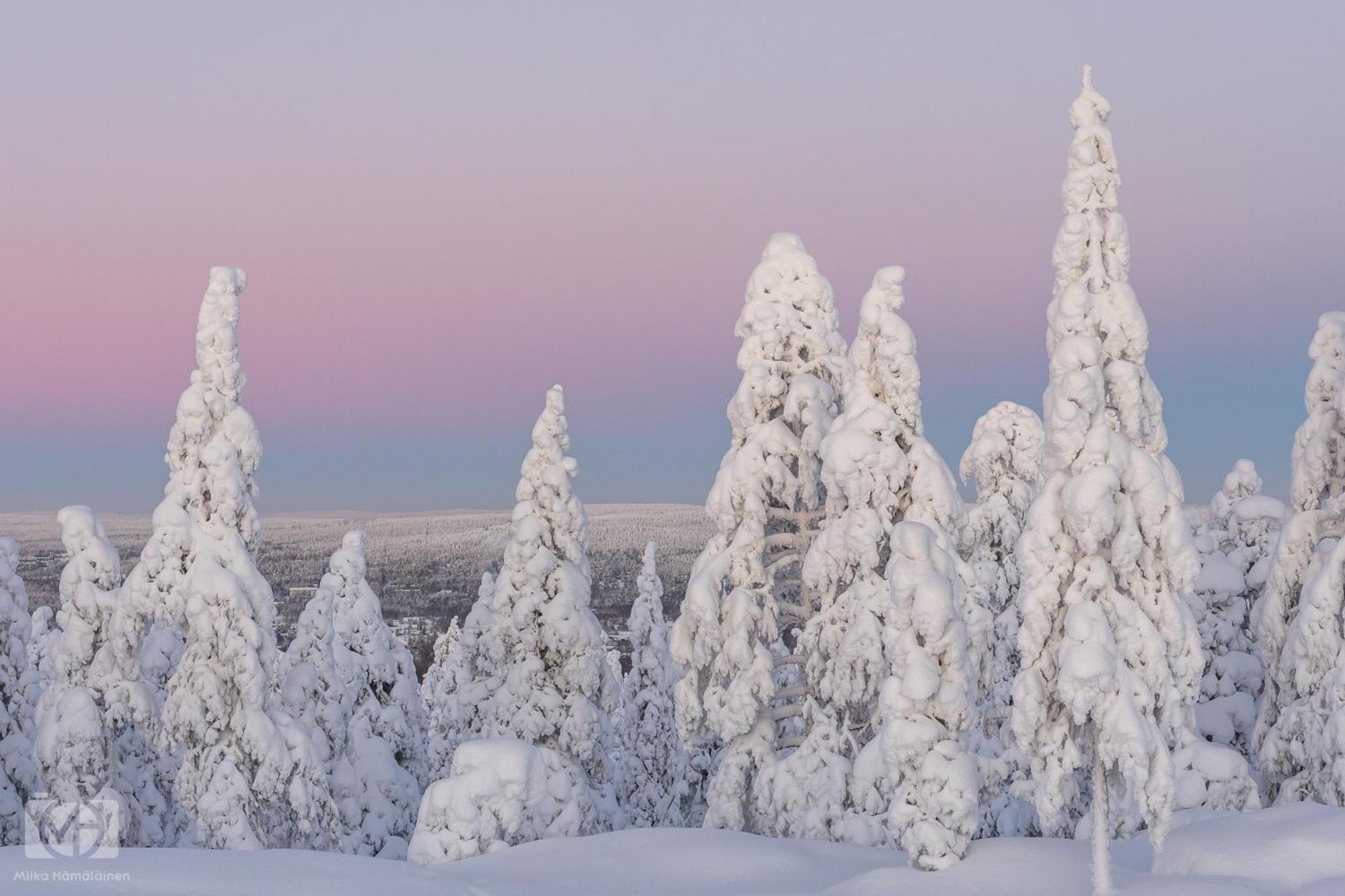 Northern Bliss Hideaway Rovaniemi Exterior foto